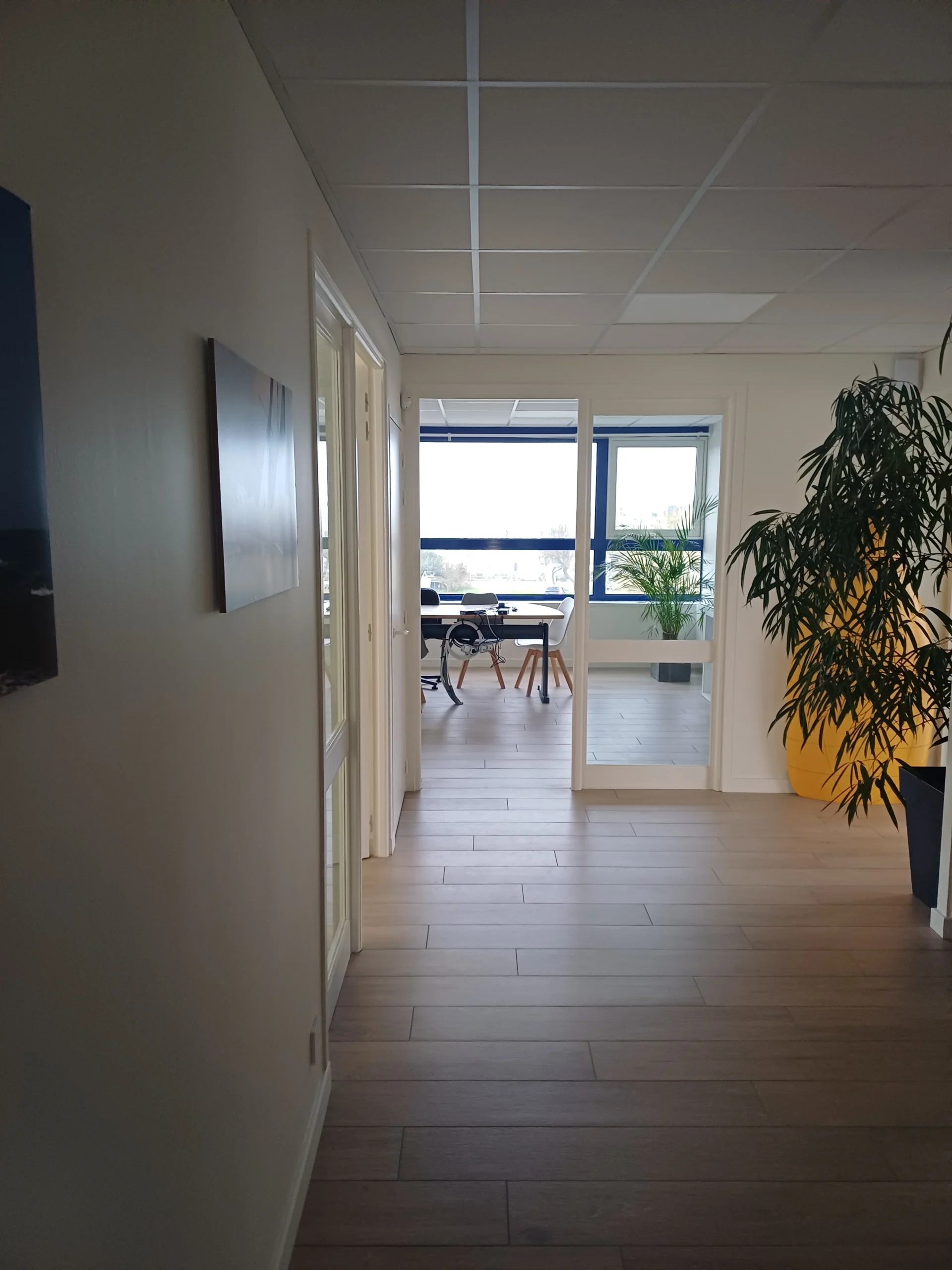 Projet tertiaire APL Luçon